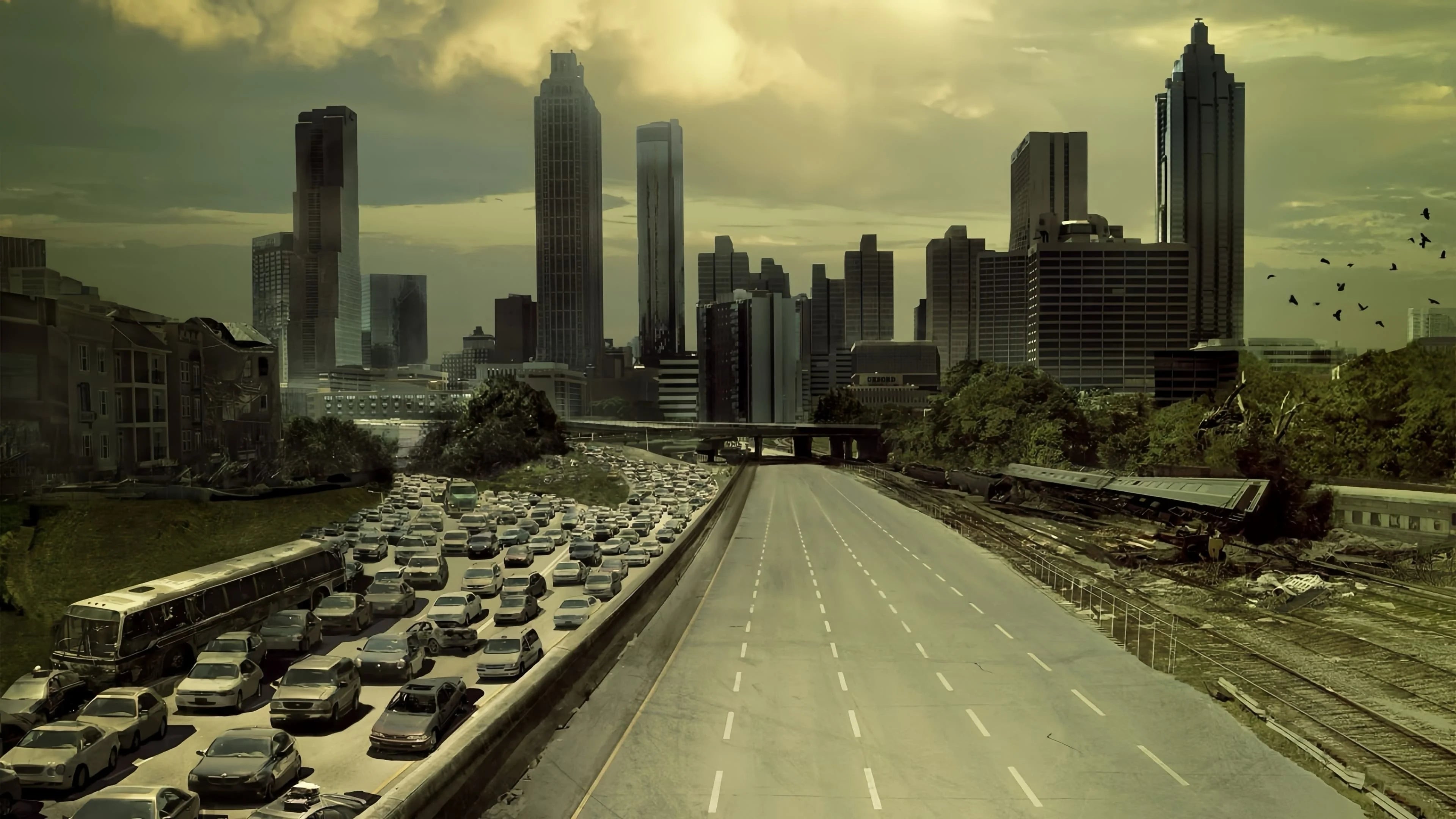 Where to buy The Walking Dead (2010) posters - Popcorn Poster Shop