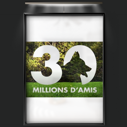 30 Millions D'amis (1976)