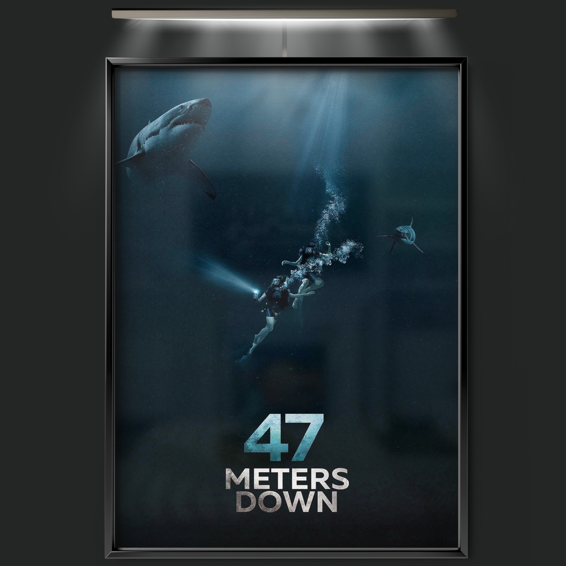 47 Meters Down (2017)
