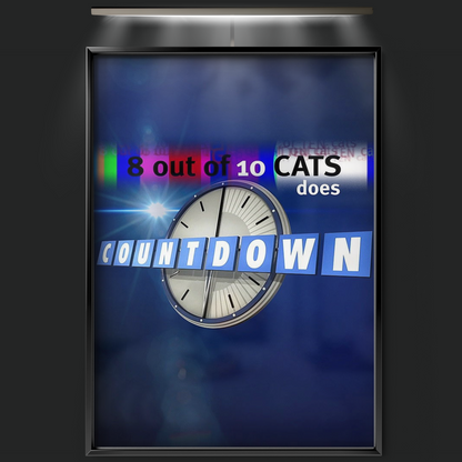 8 Out Of 10 Cats Does Countdown (2013)