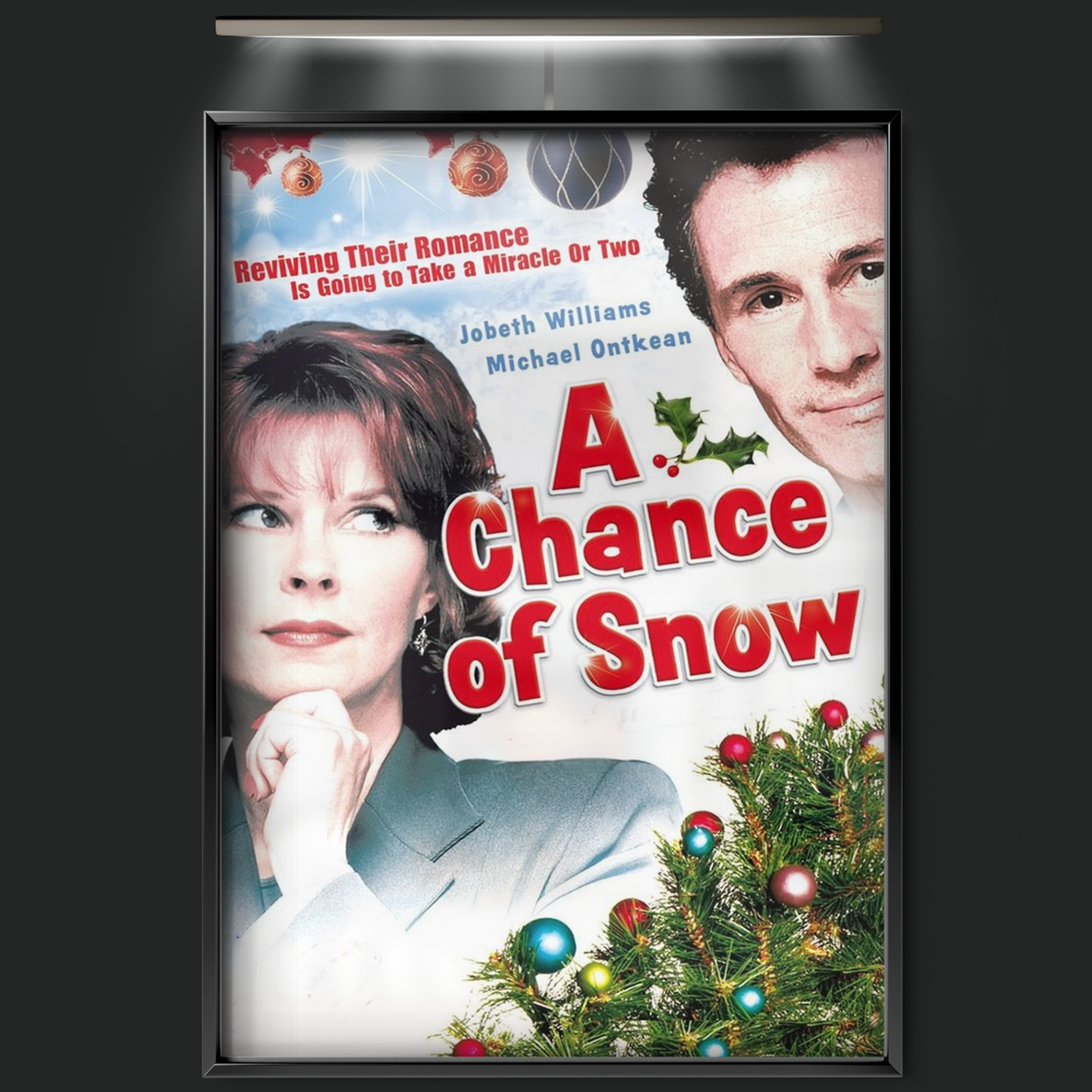 A Chance Of Snow (1998)