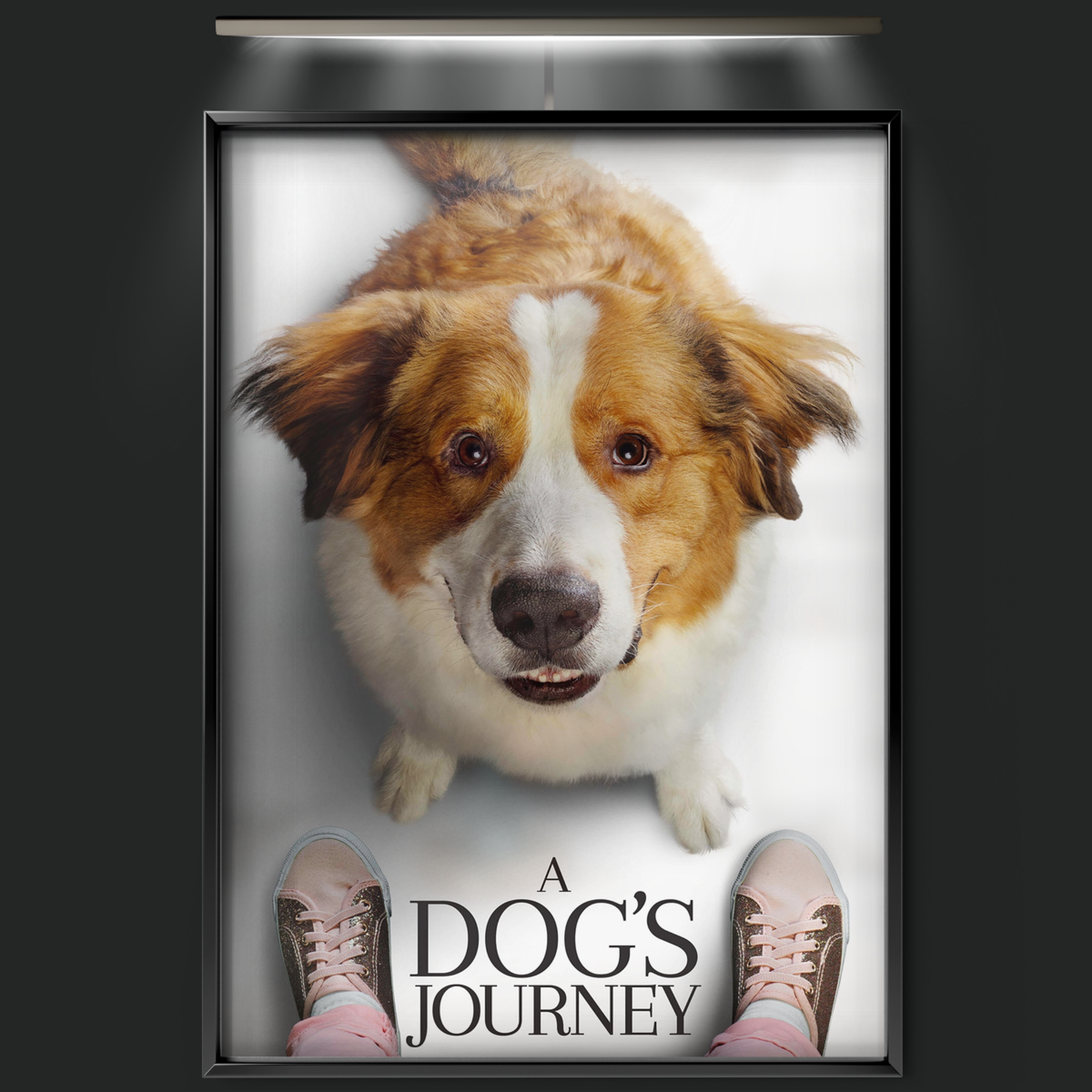 A Dog's Journey (2019)