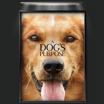 A Dog's Purpose (2017)