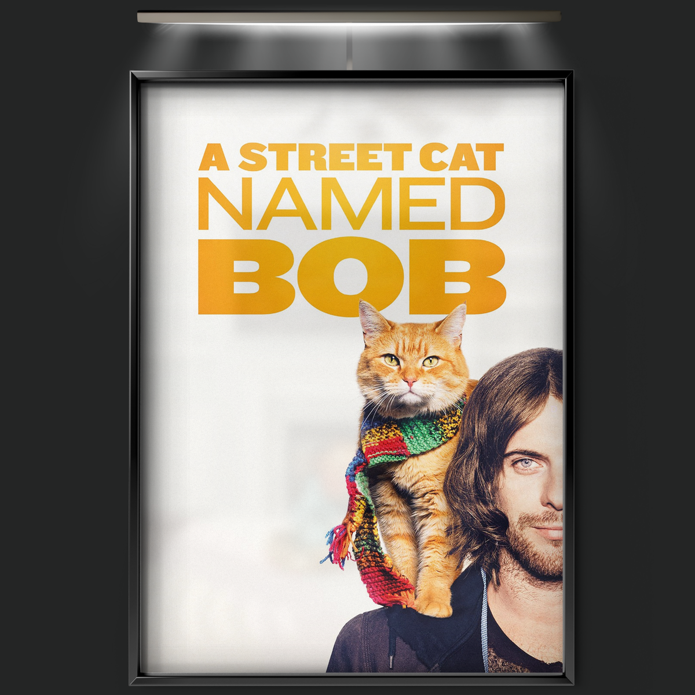 A Street Cat Named Bob (2016)