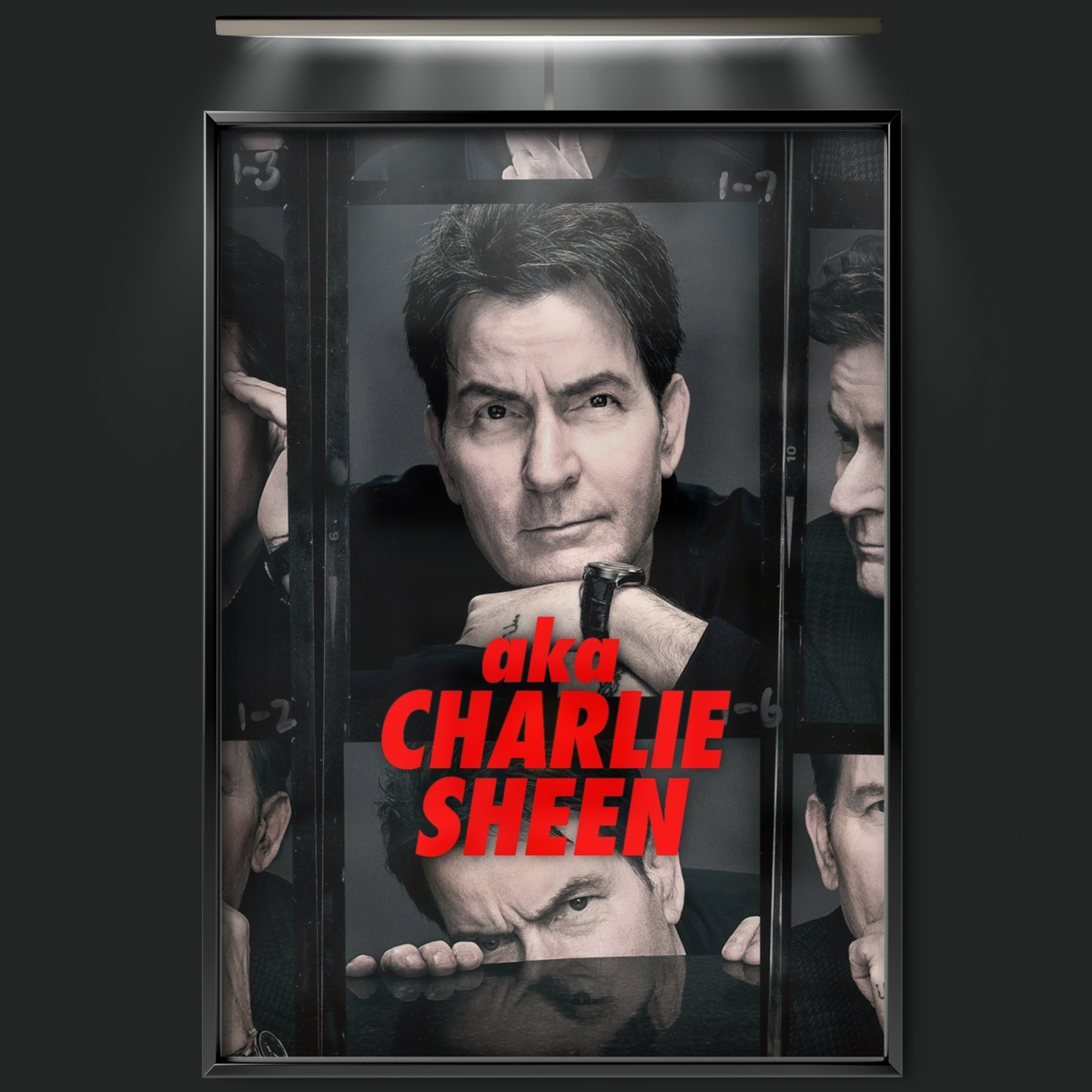 Aka Charlie Sheen (2025)