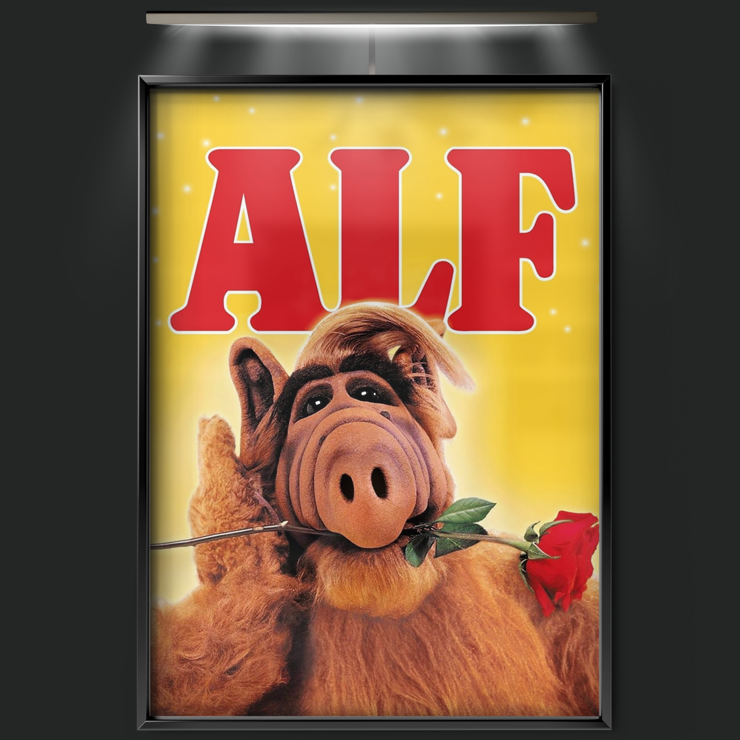 Alf (1986)