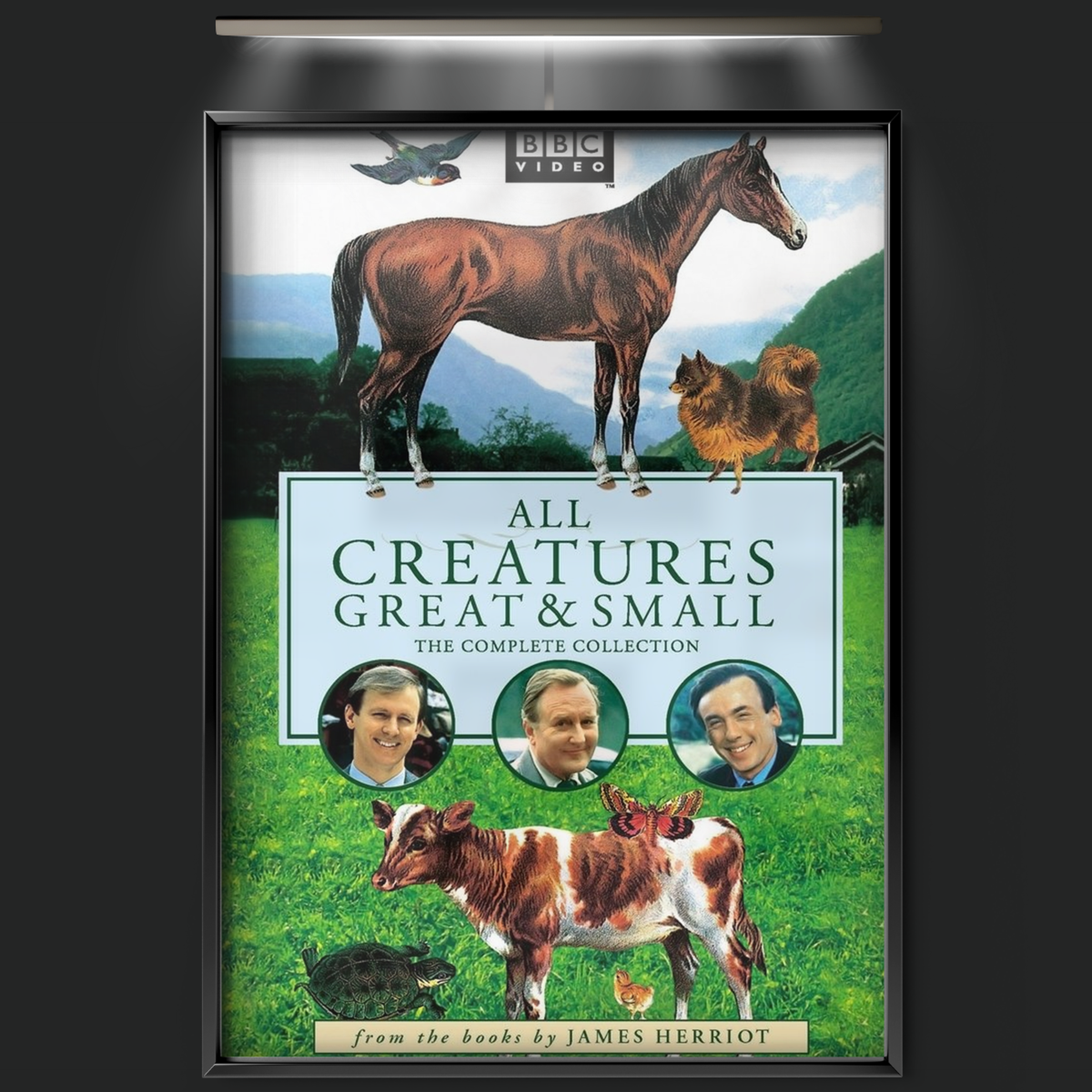 All Creatures Great And Small (1978)