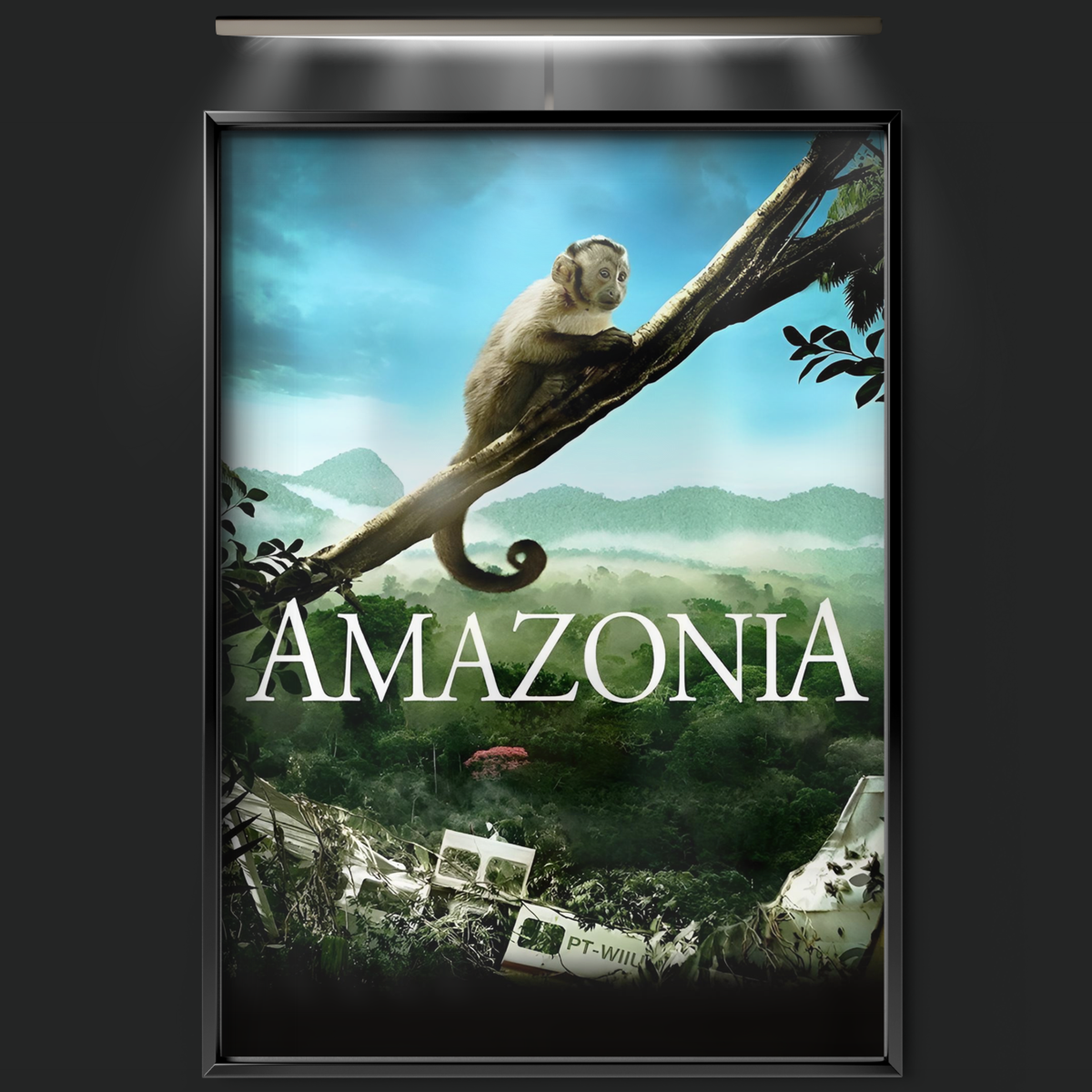 Amazonia (2013)