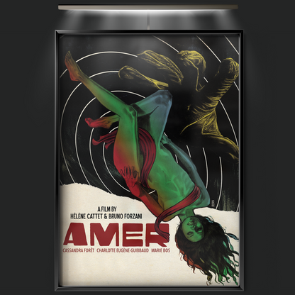 Amer (2009)