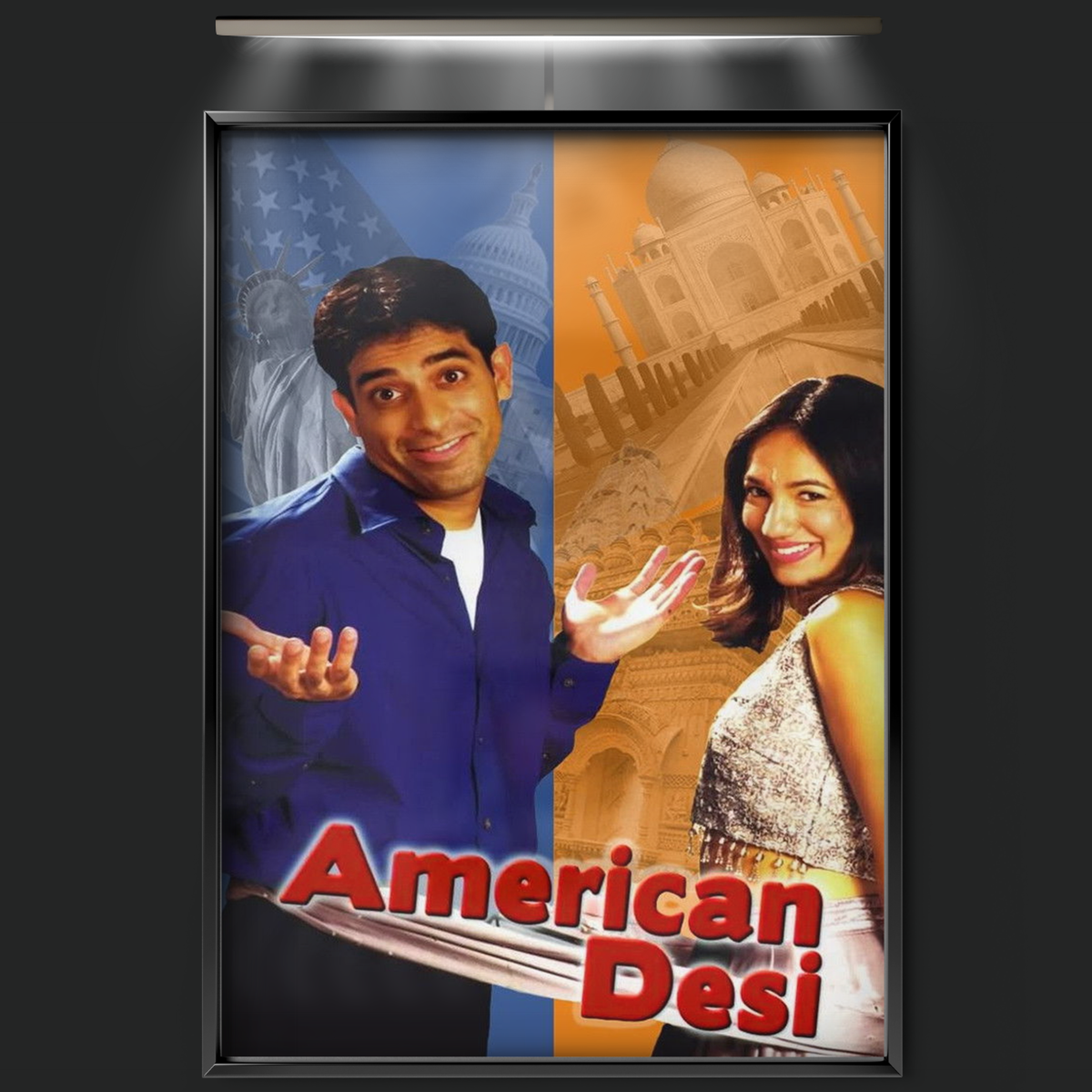 American Desi (2001)