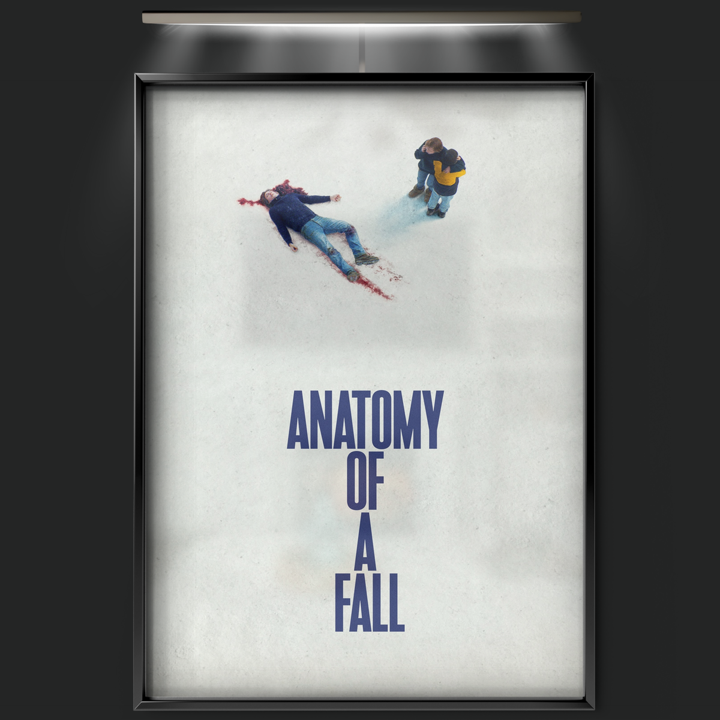 Anatomy Of A Fall (2023)