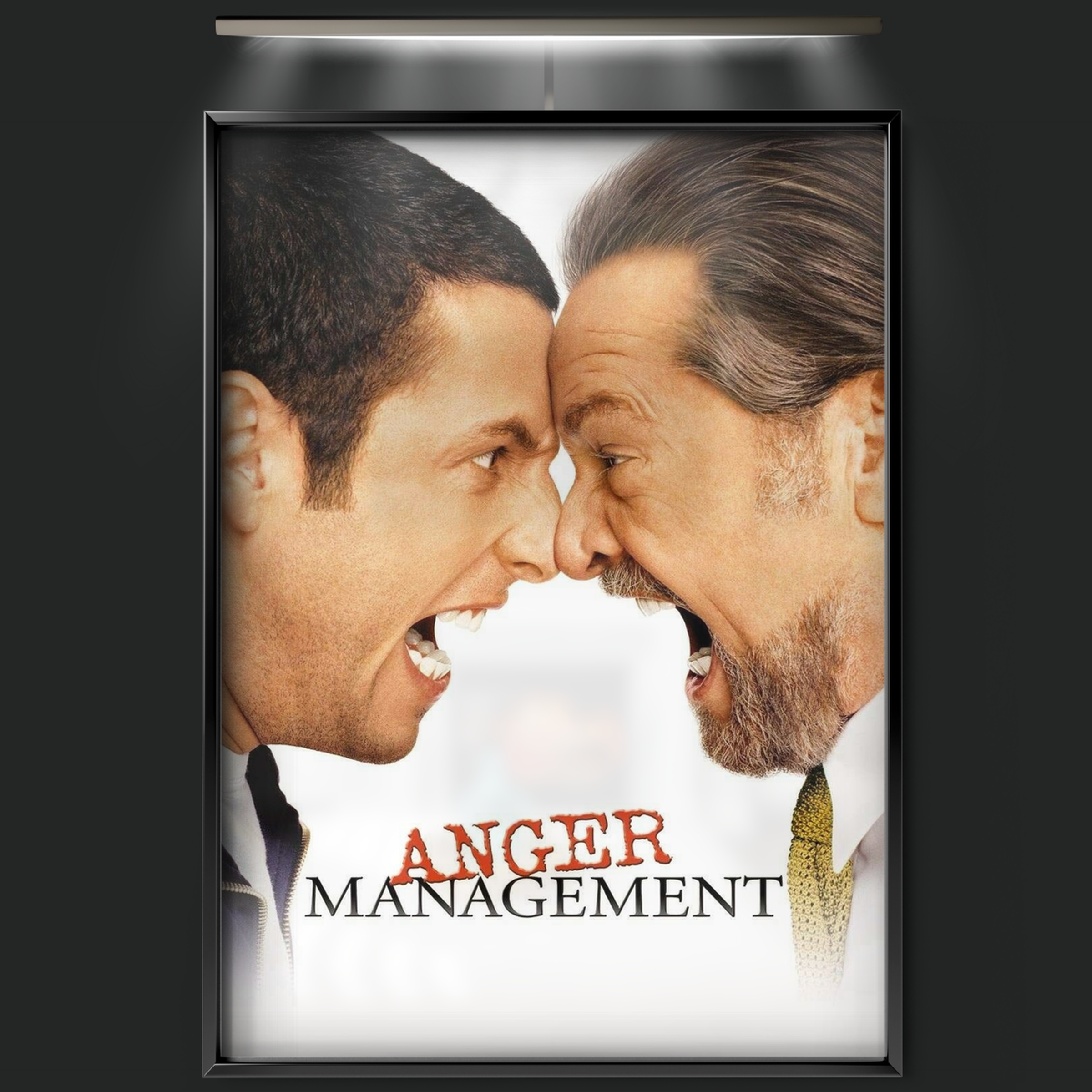 Anger Management (2003)