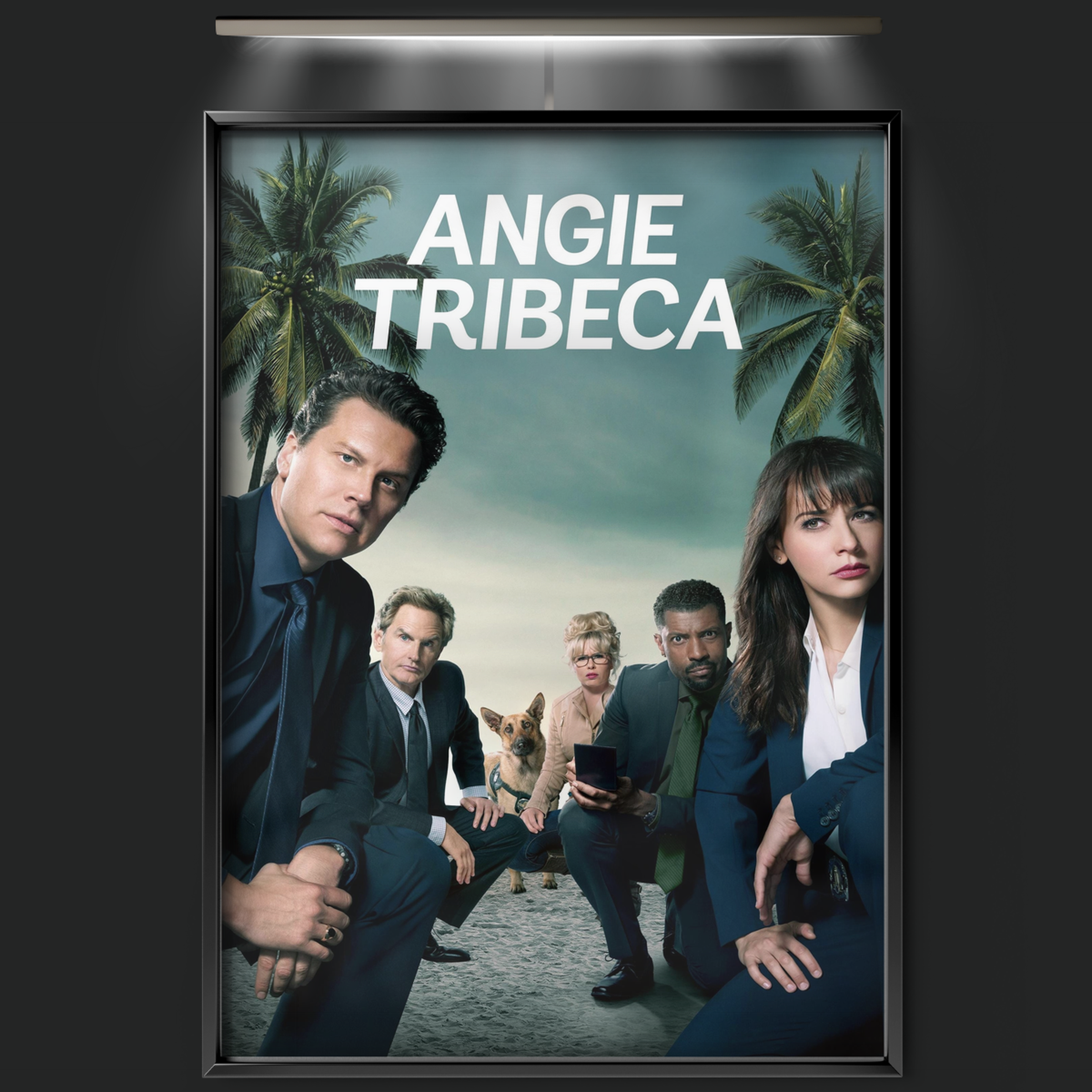 Angie Tribeca (2016)