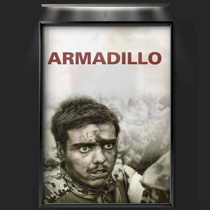 Armadillo (2010)