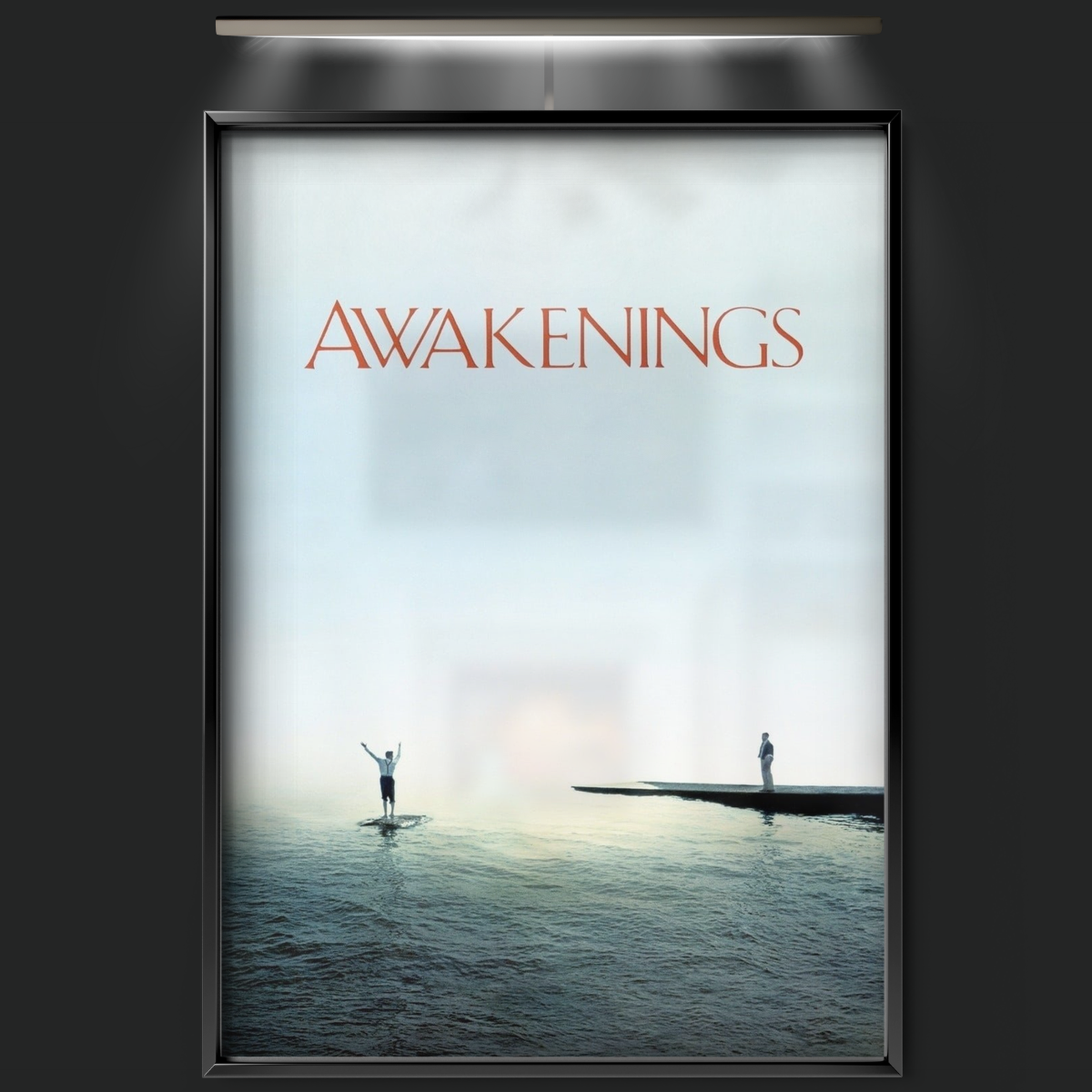 Awakenings (1990)