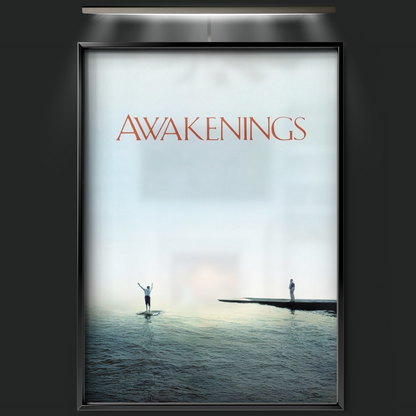 Awakenings (1990)