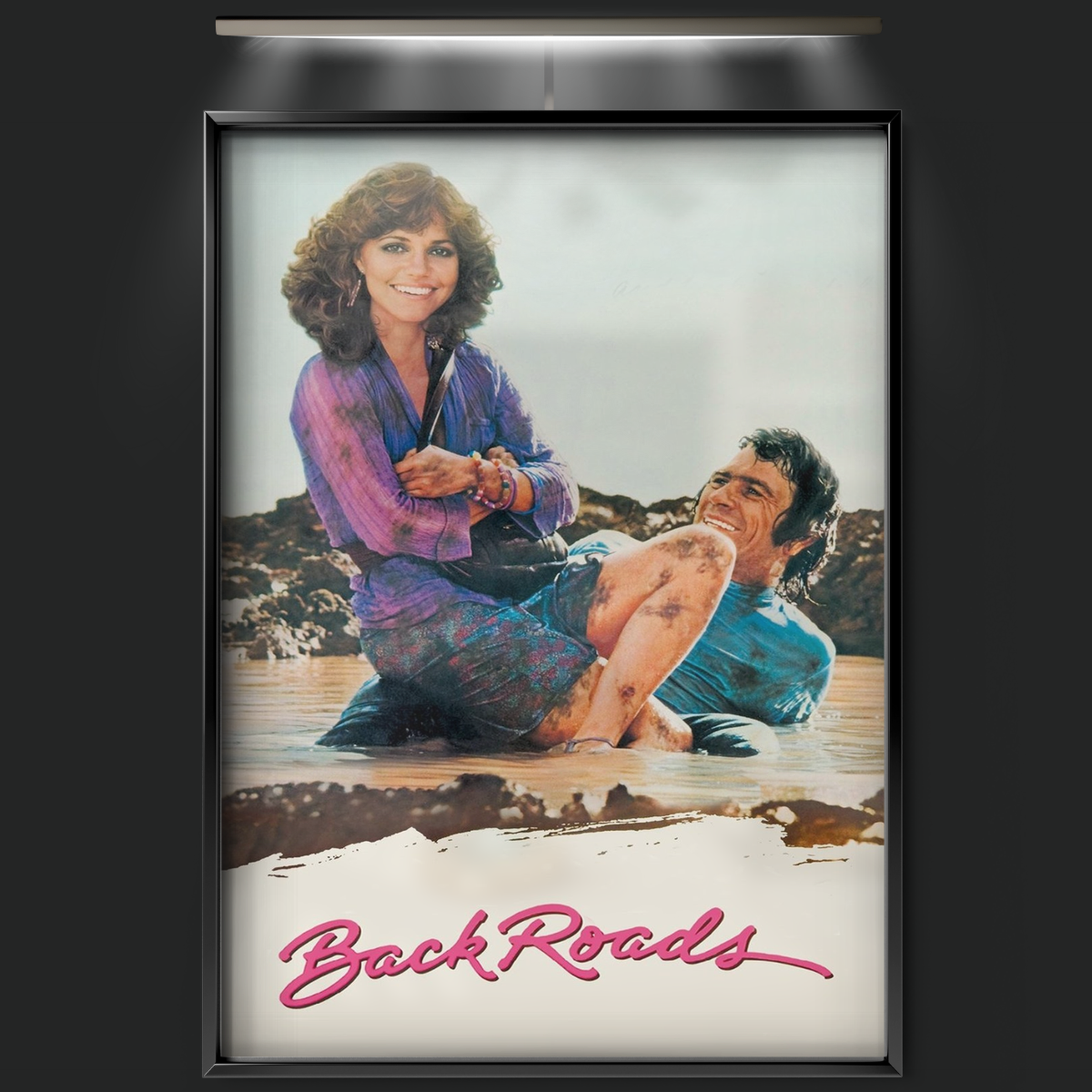 Back Roads (1981)