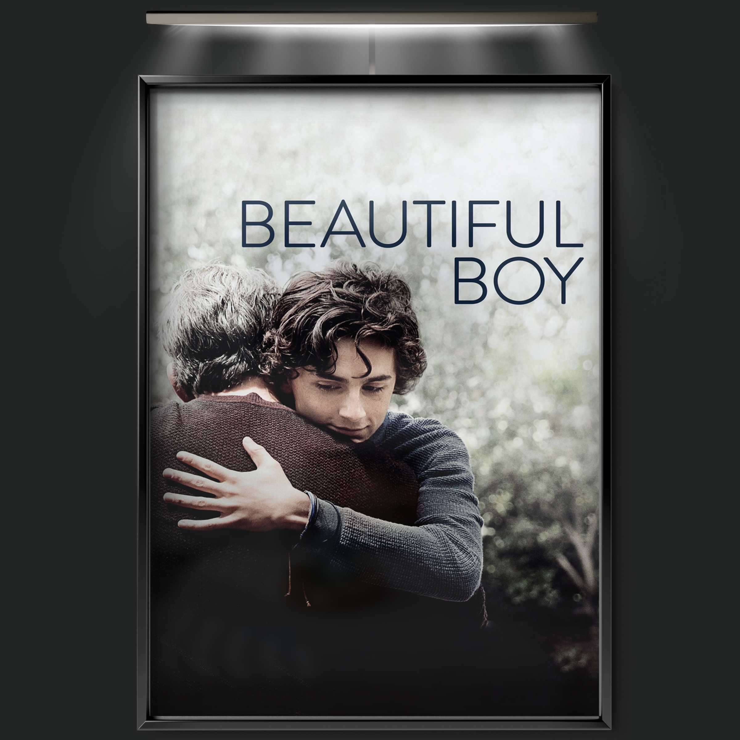 Beautiful Boy (2018)