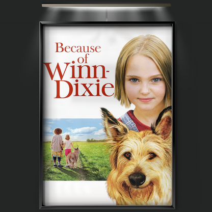Because Of Winn Dixie (2005)