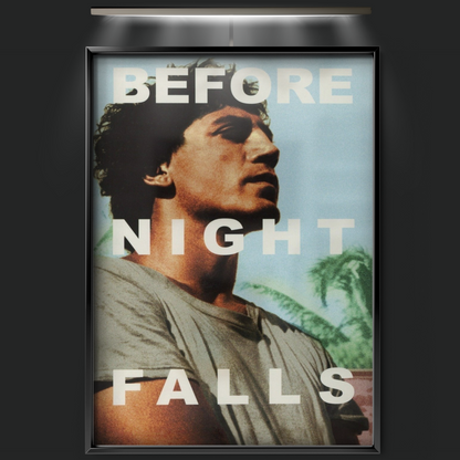 Before Night Falls (2000)