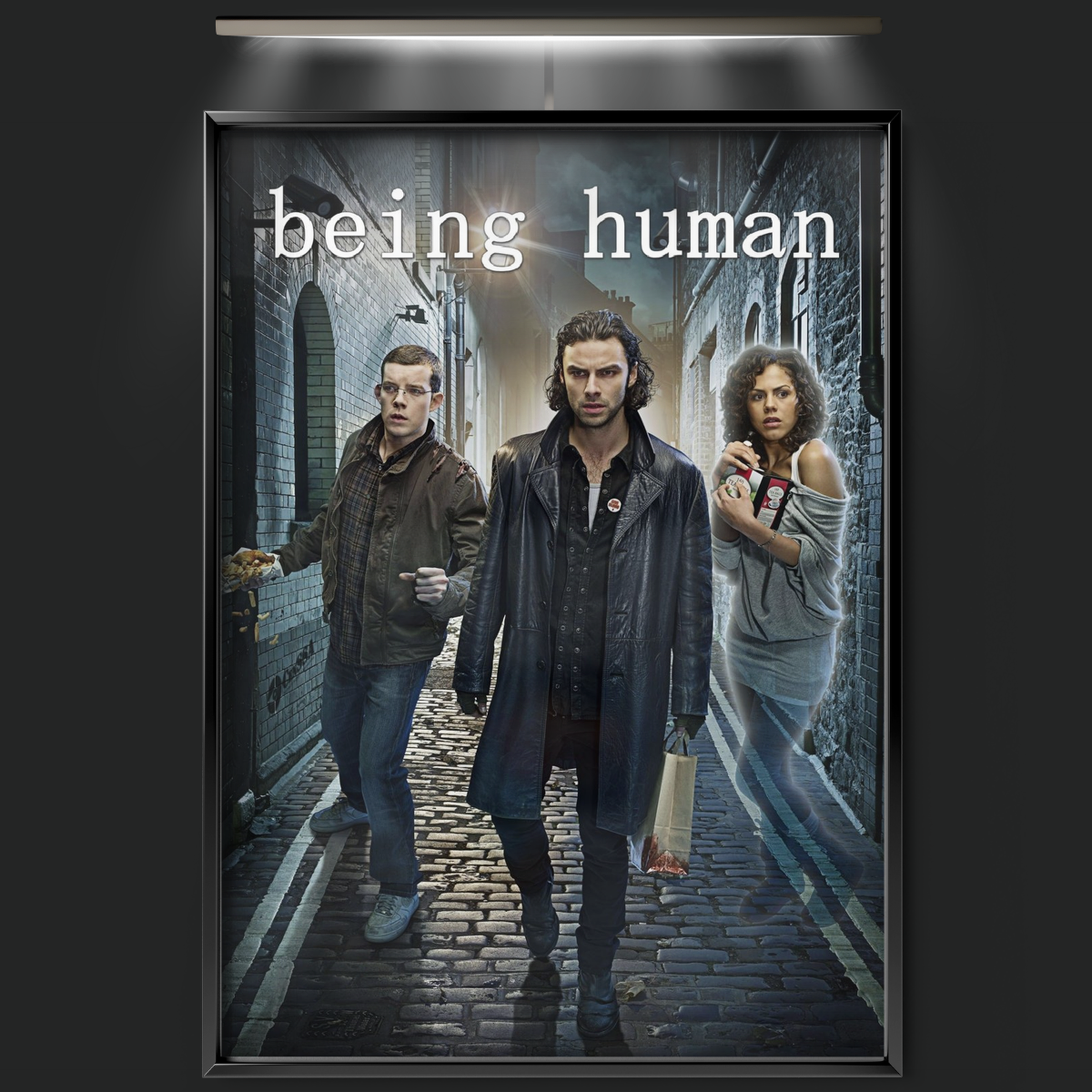Being Human (2009)