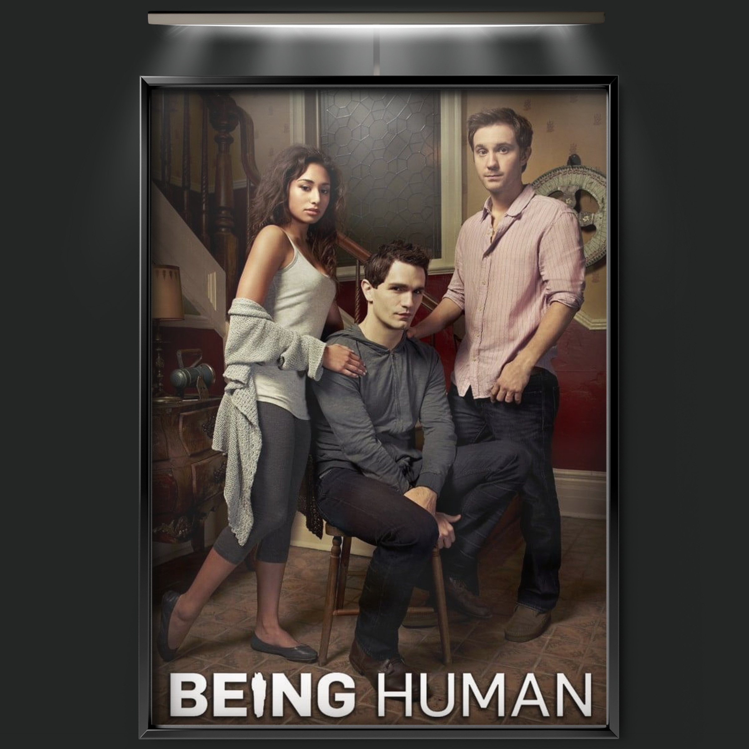 Being Human (2011)