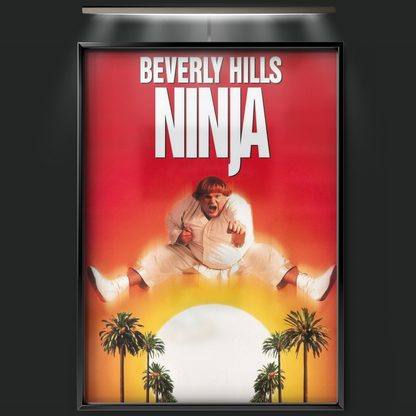 Beverly Hills Ninja (1997)