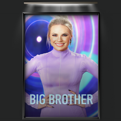 Big Brother (2001)