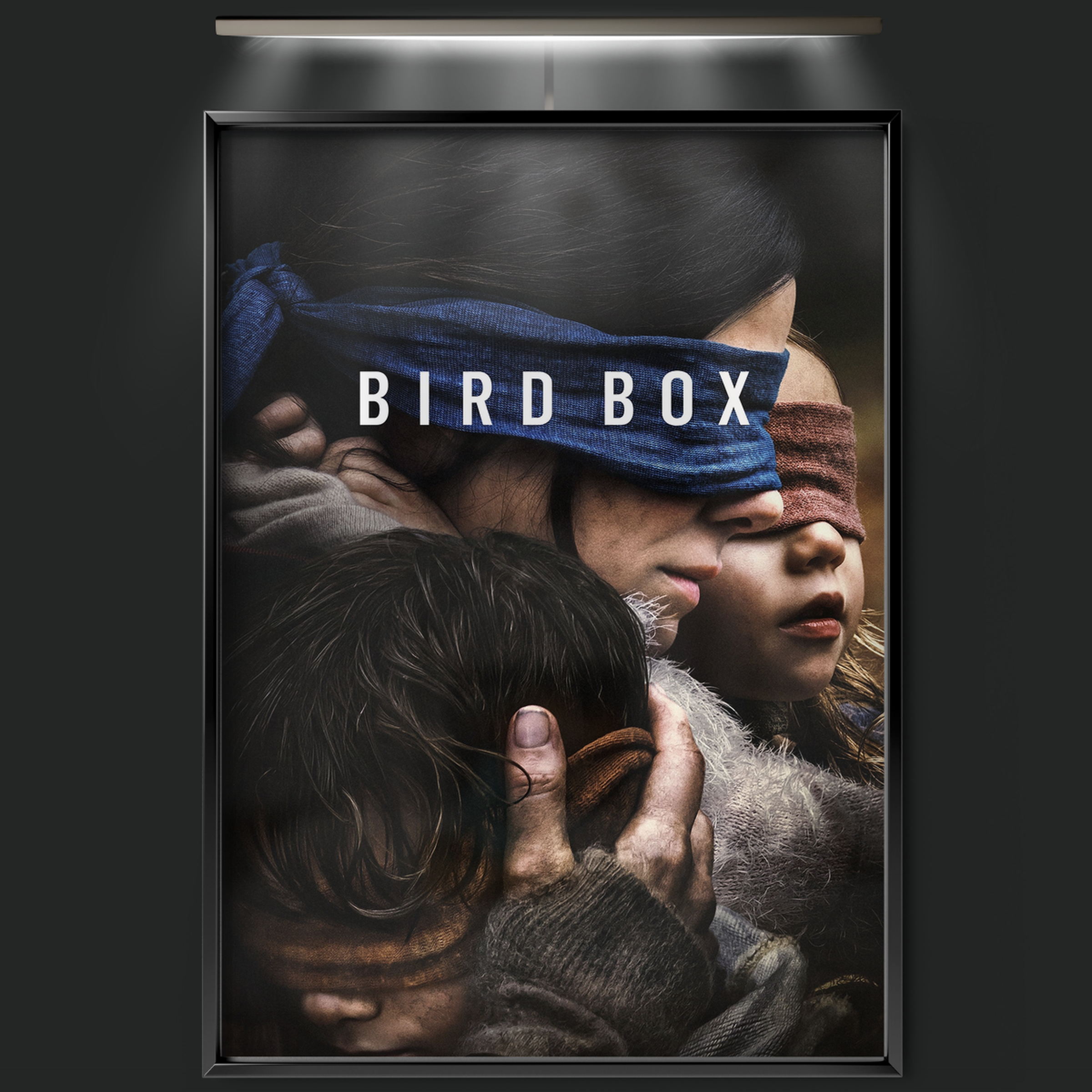 Bird Box (2018)