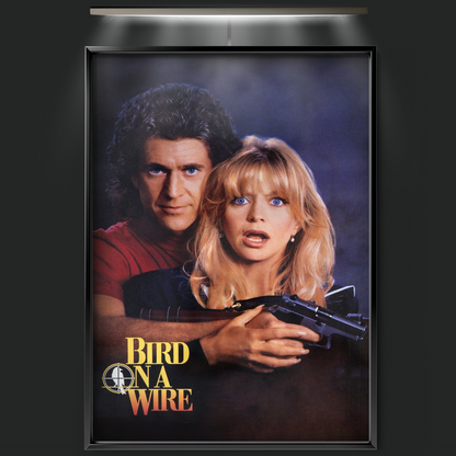 Bird On A Wire (1990)