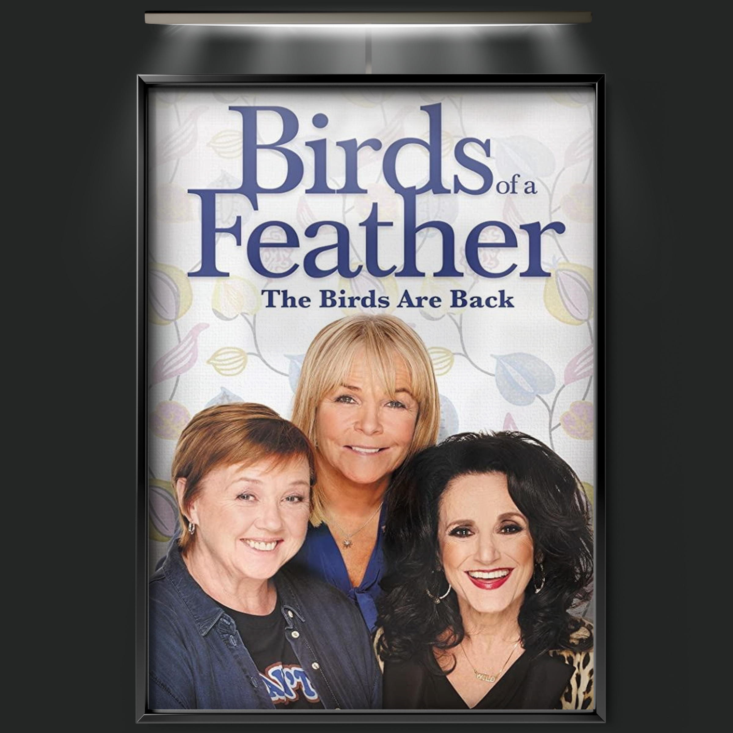 Birds Of A Feather (1989)