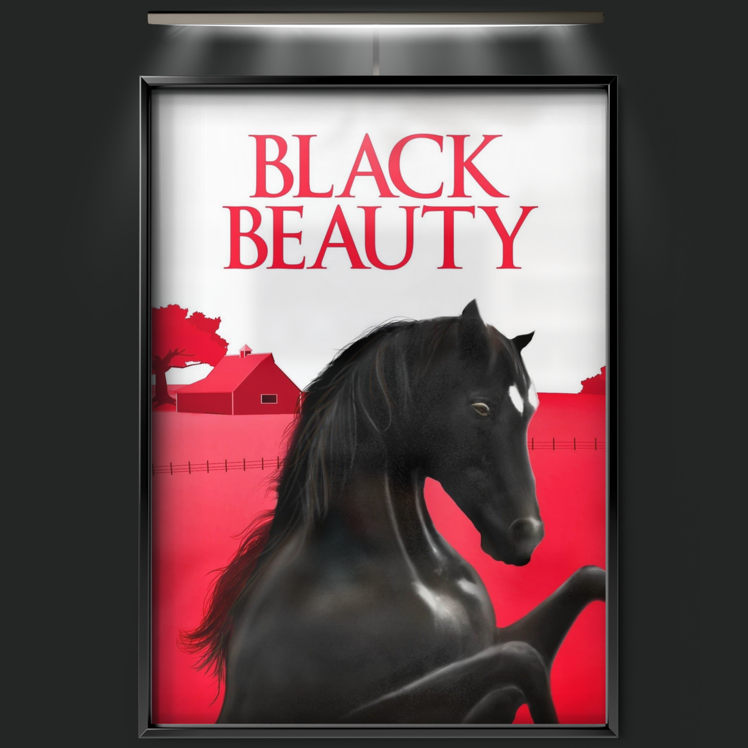 Black Beauty (1971)