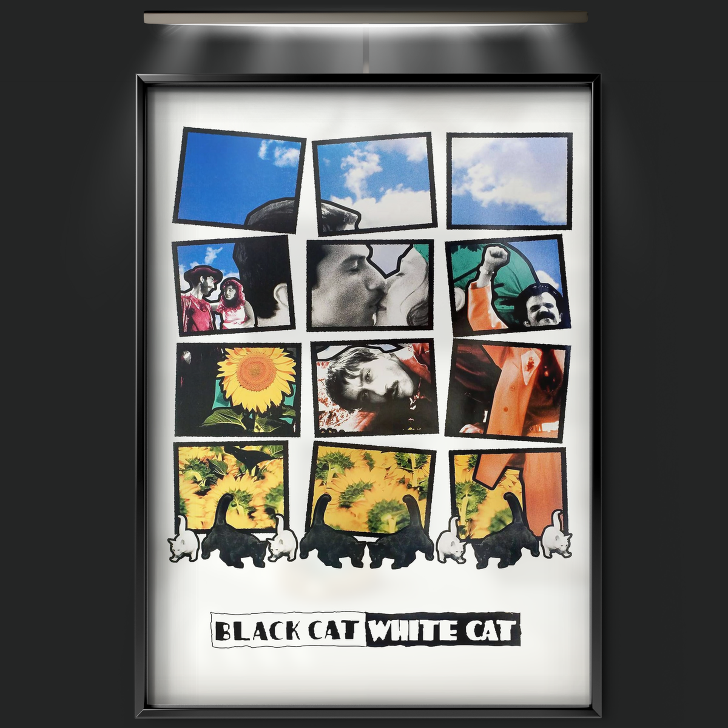 Black Cat, White Cat (1998)