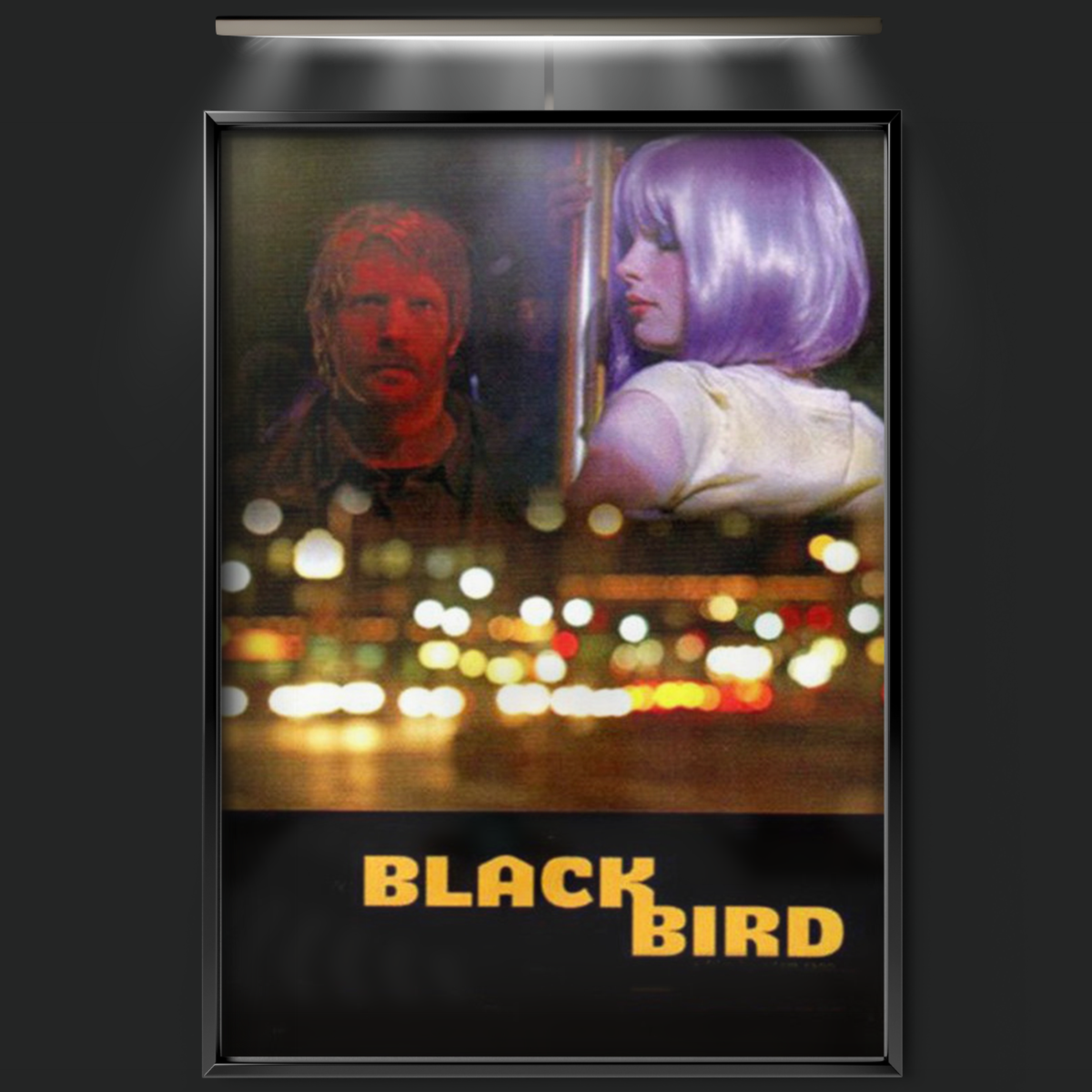 Blackbird (2007)