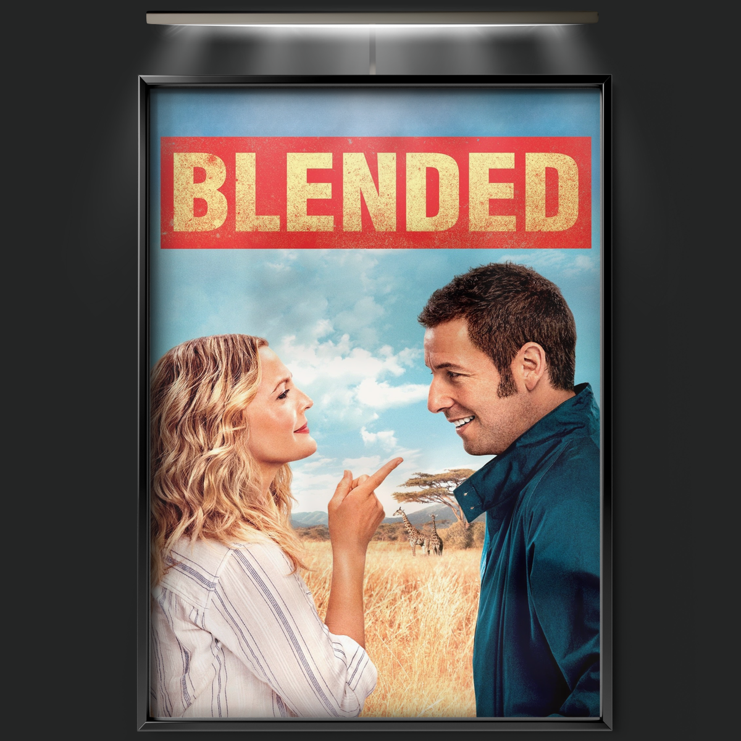 Blended (2014)