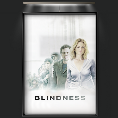 Blindness (2008)
