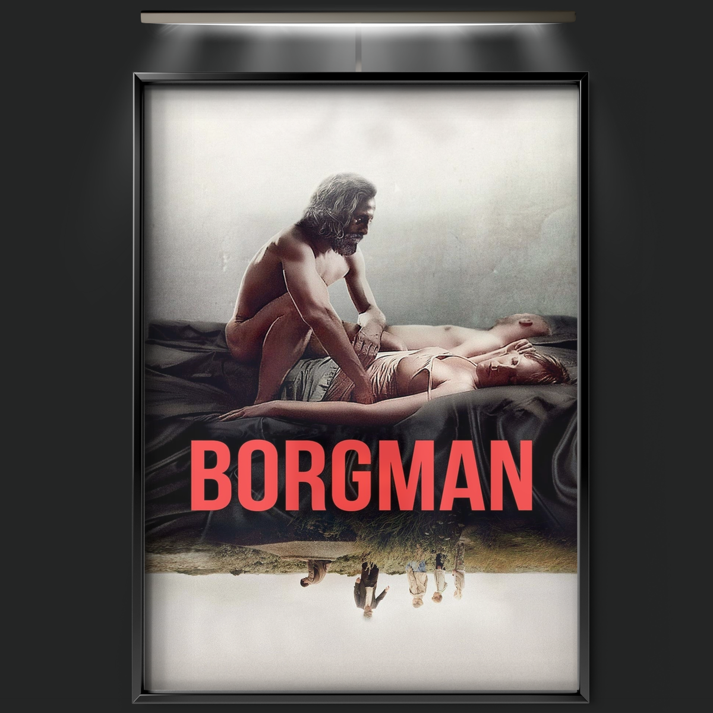 Borgman (2013)