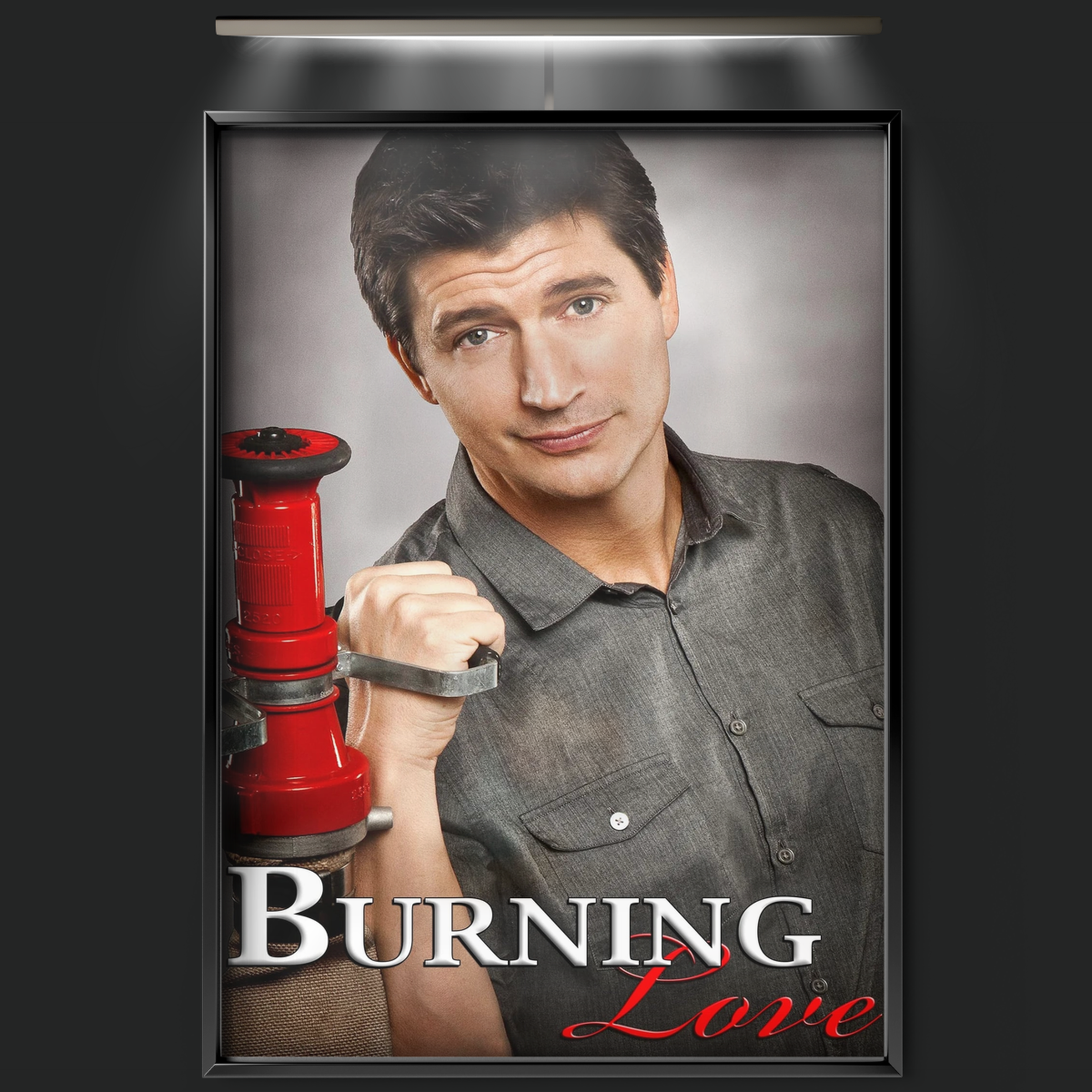 Burning Love (2012)