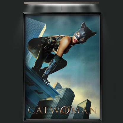 Catwoman (2004)