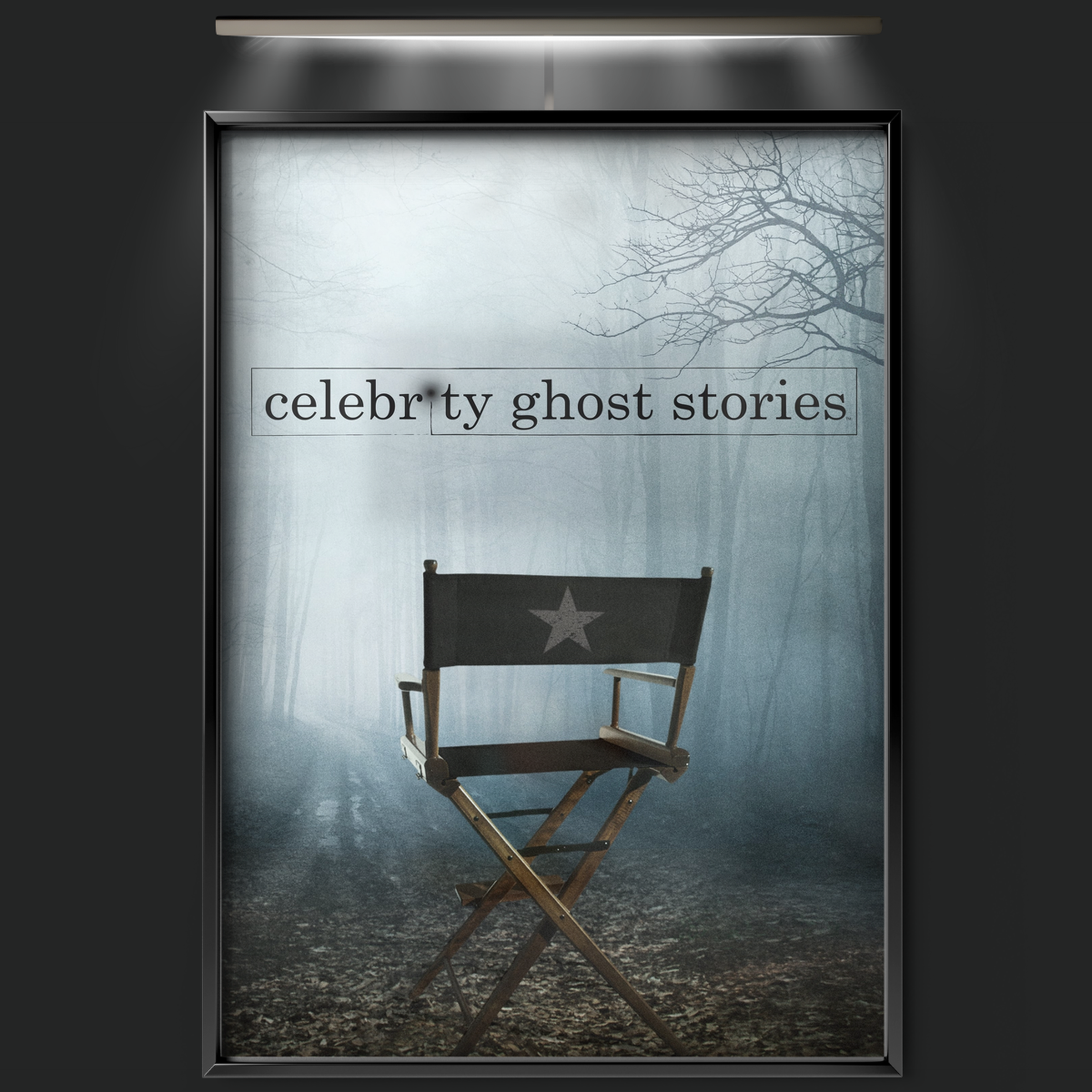 Celebrity Ghost Stories (2009)