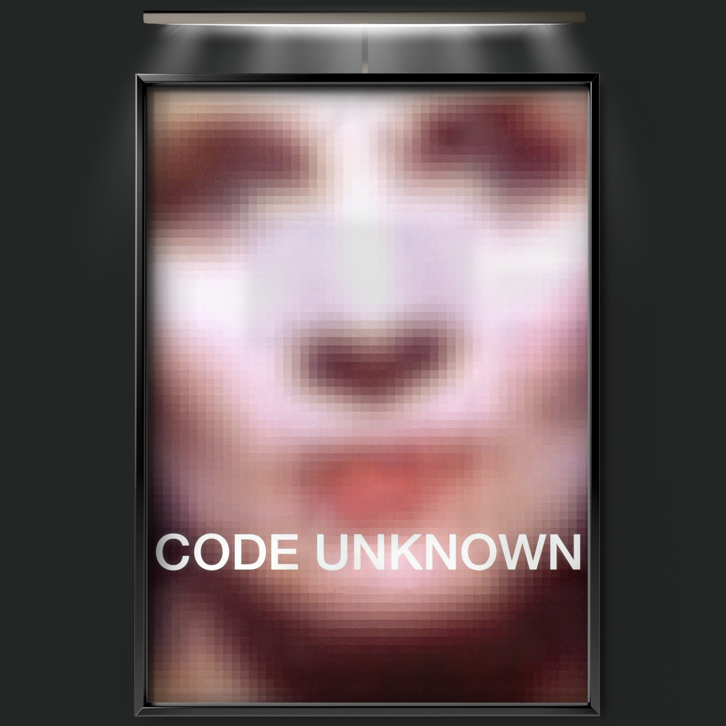 Code Unknown (2000)