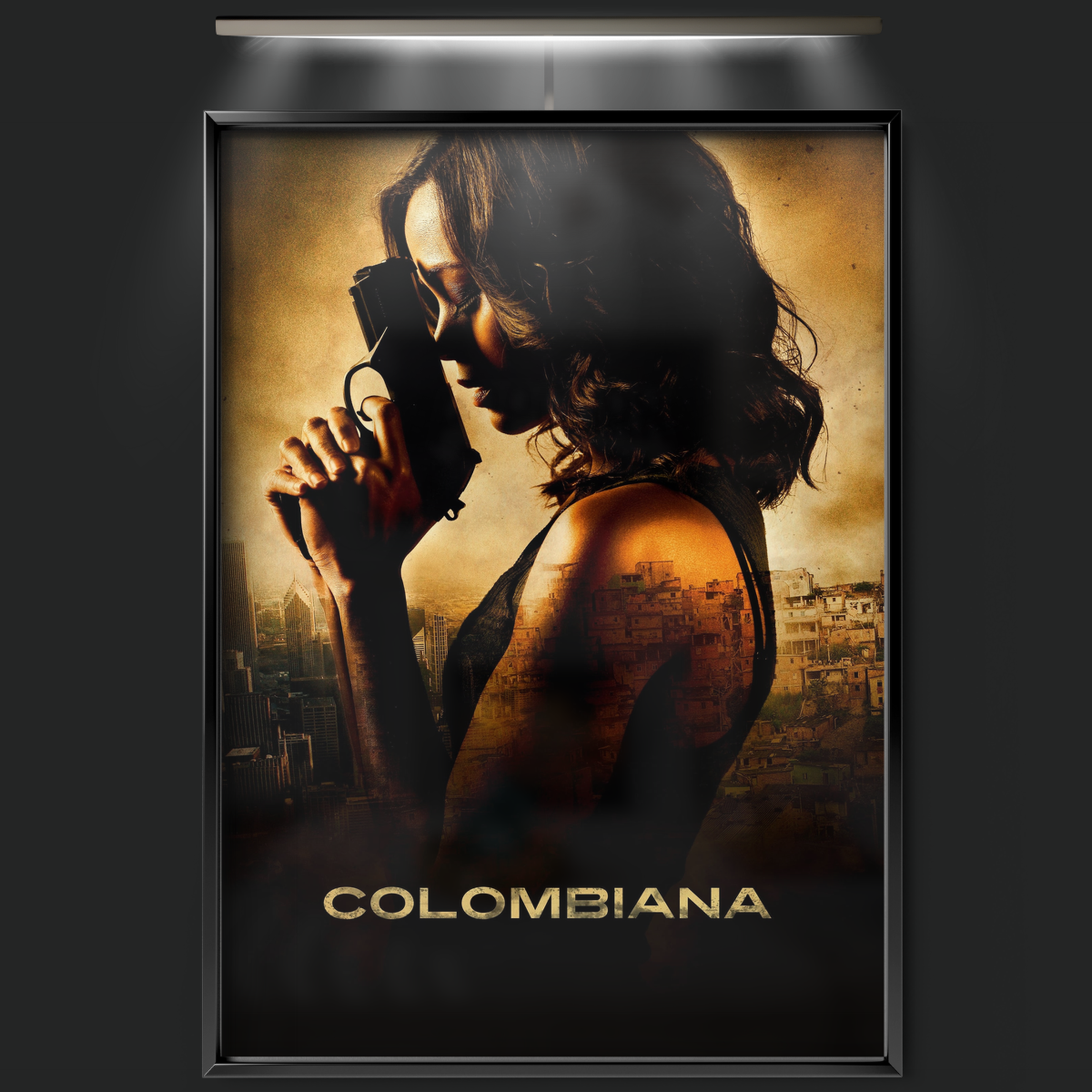 Colombiana (2011)