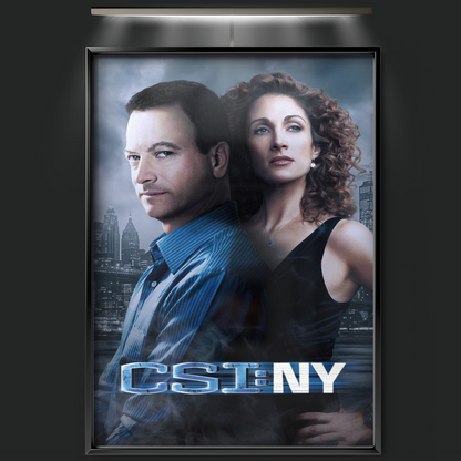 Csi Ny (2004)