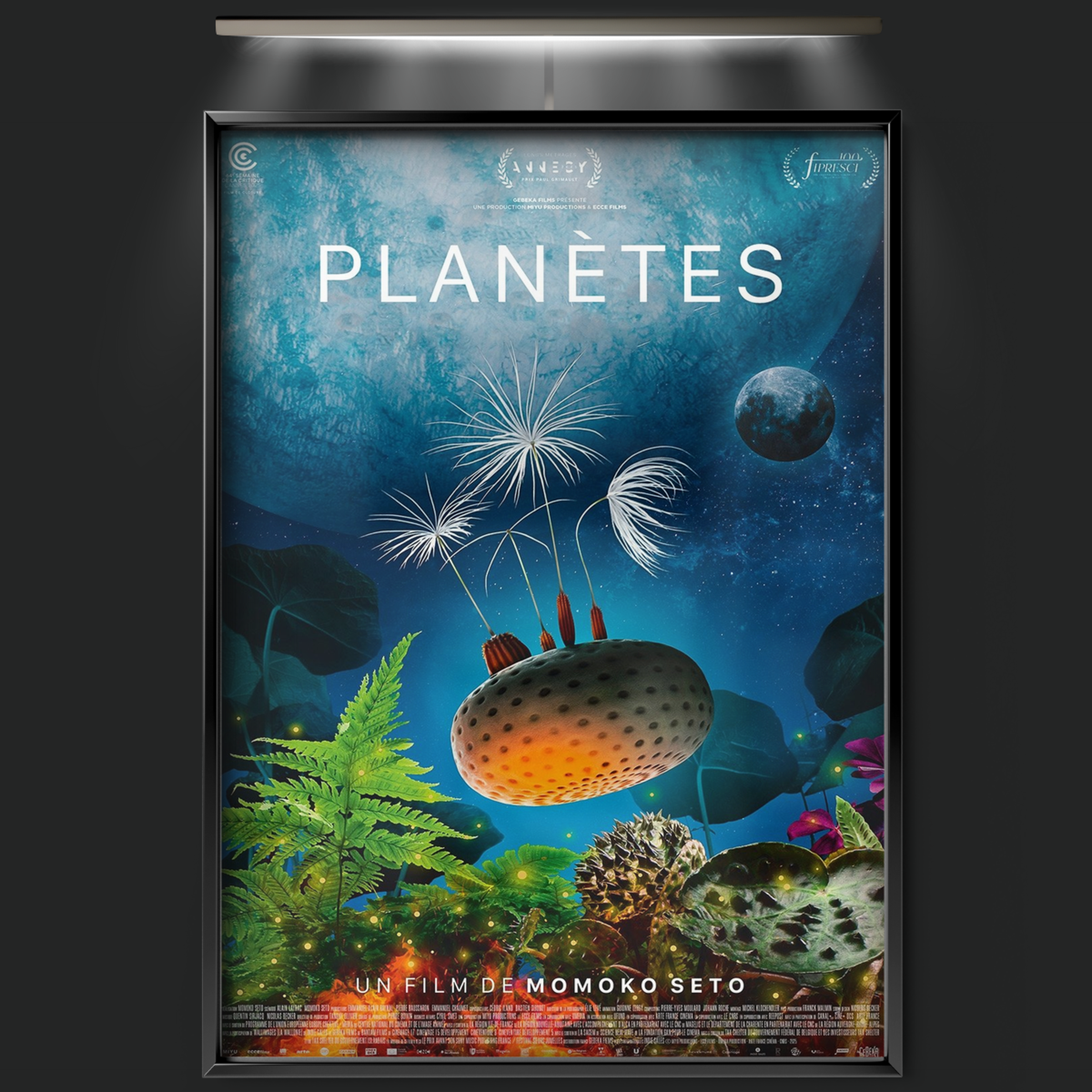 Dandelion's Odyssey (2026)