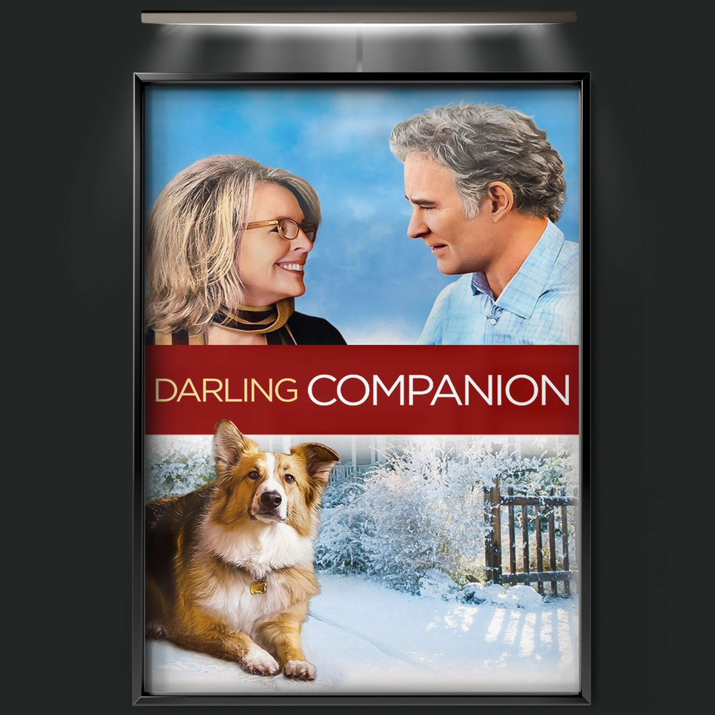 Darling Companion (2012)