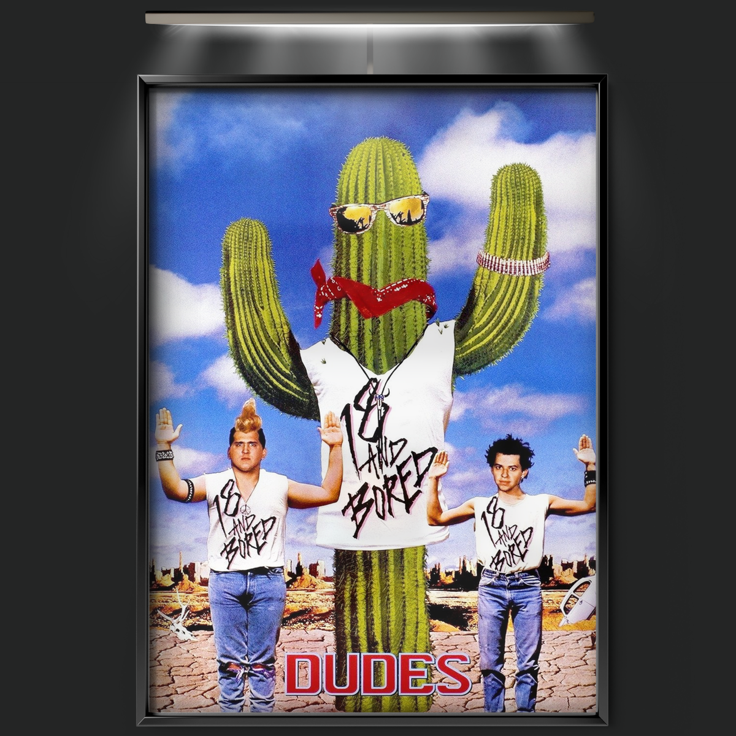 Dudes (1987)