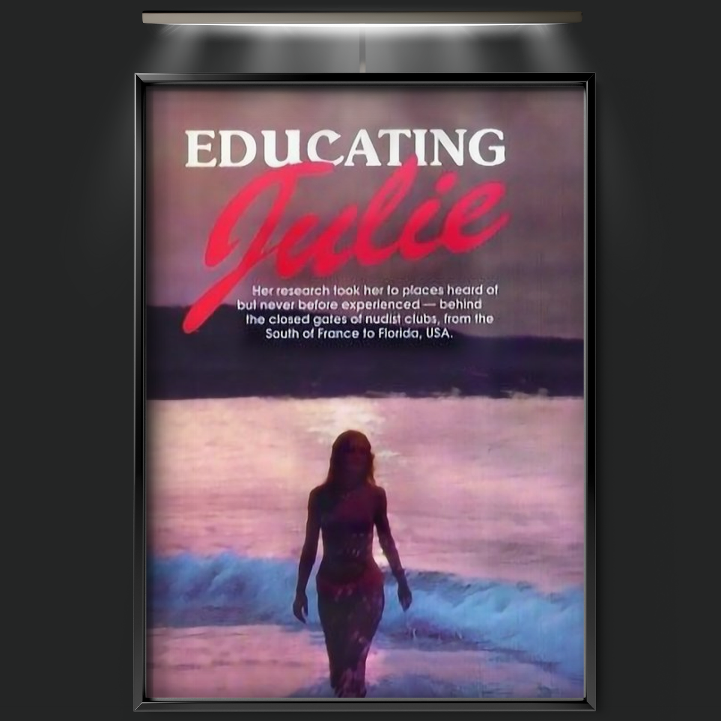 Educating Julie (1984)