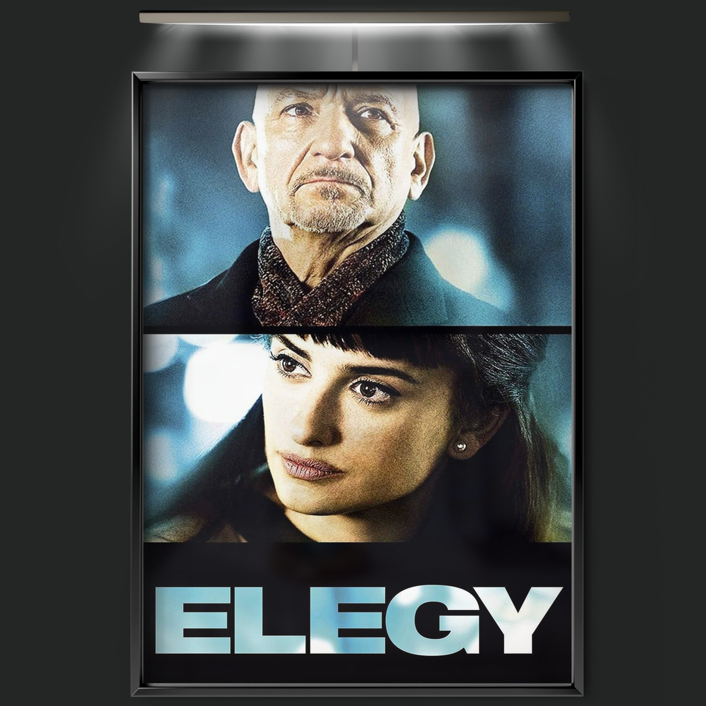 Elegy (2008)