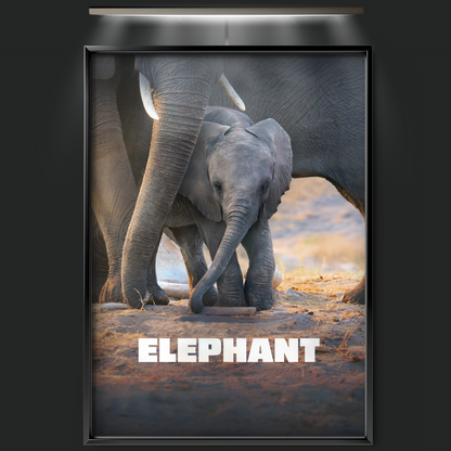 Elephant (2020)