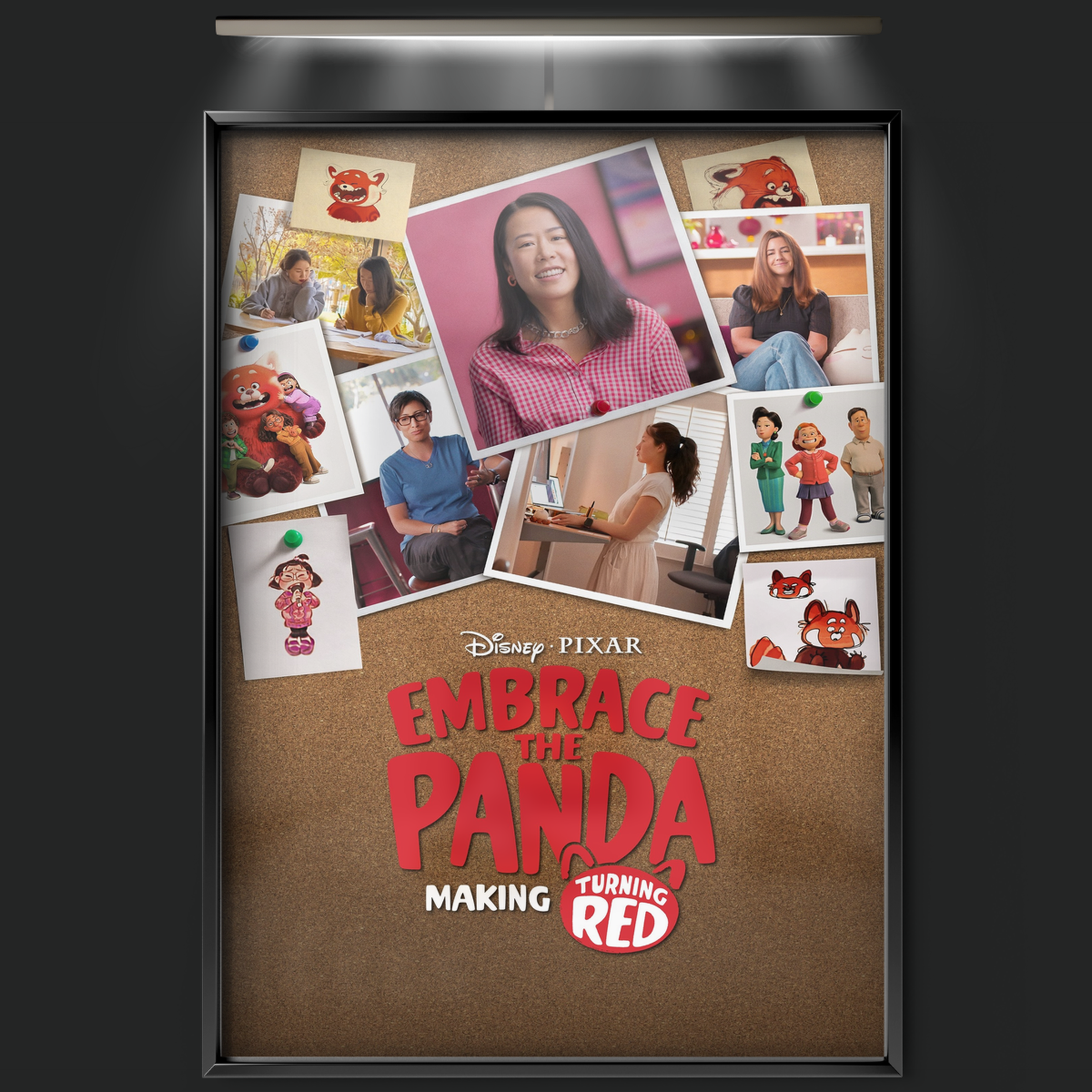 Embrace The Panda Making Turning Red (2022)